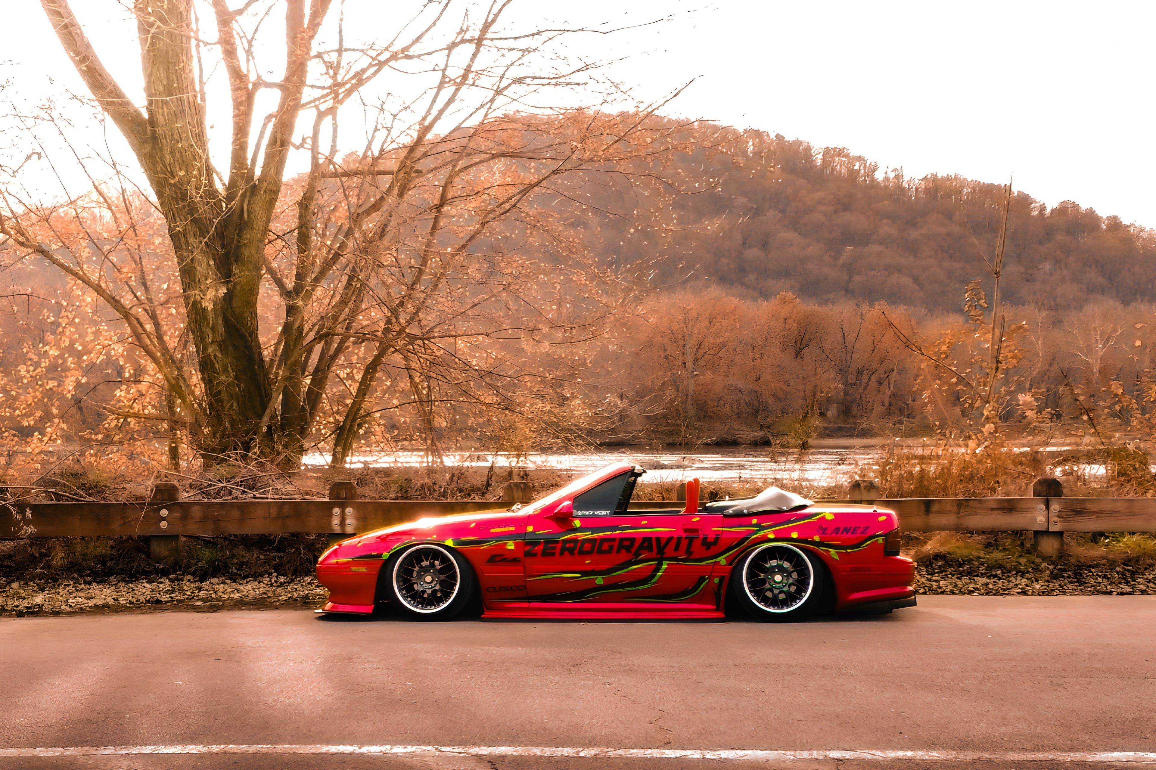 Custom Livery (Instant Consultation)