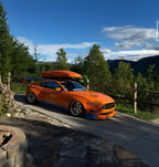 Custom Livery (Instant Consultation)