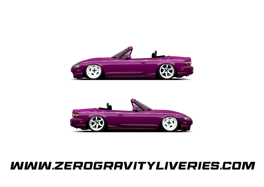 Custom Livery (Instant Consultation)