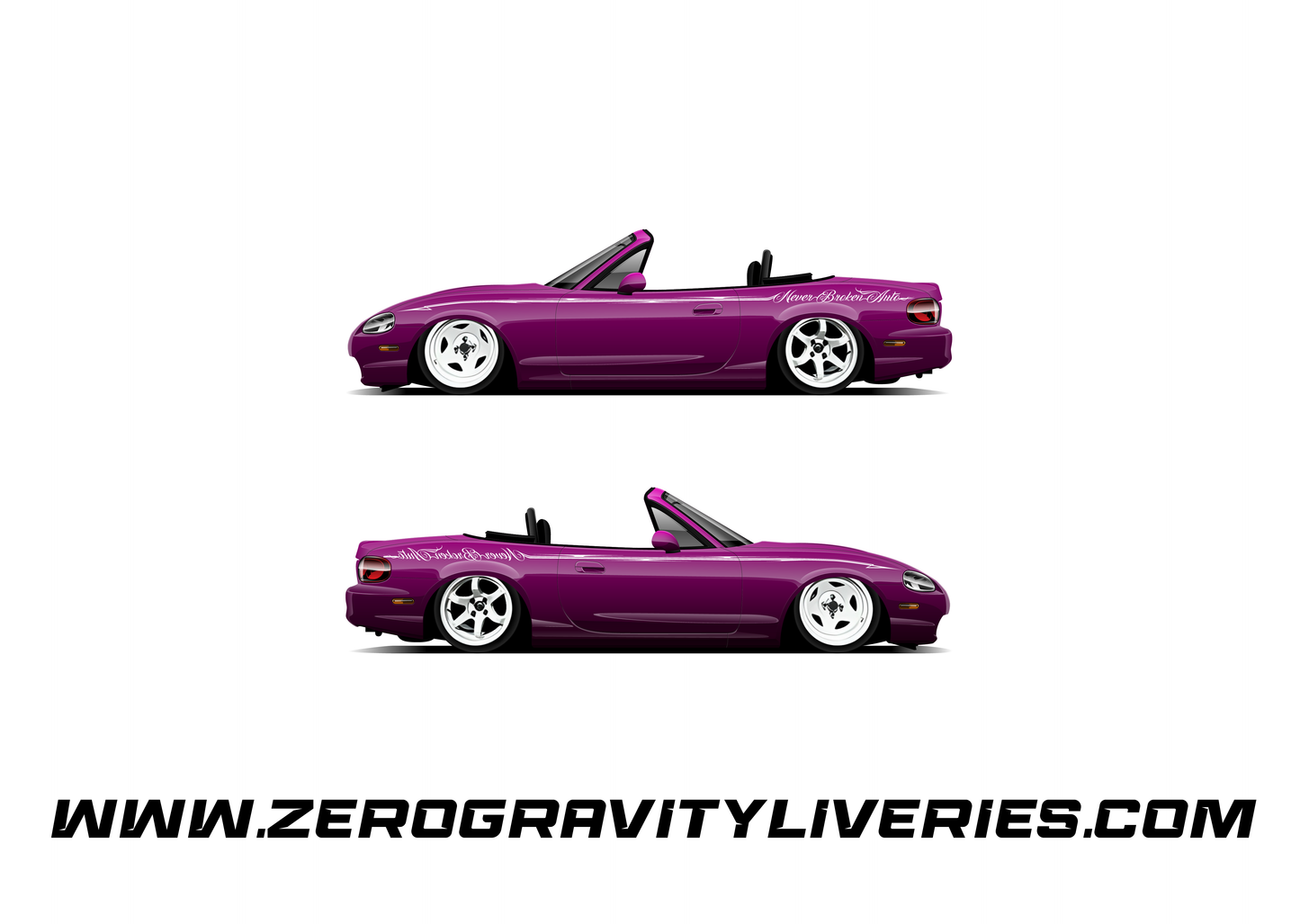 Custom Livery (Instant Consultation)